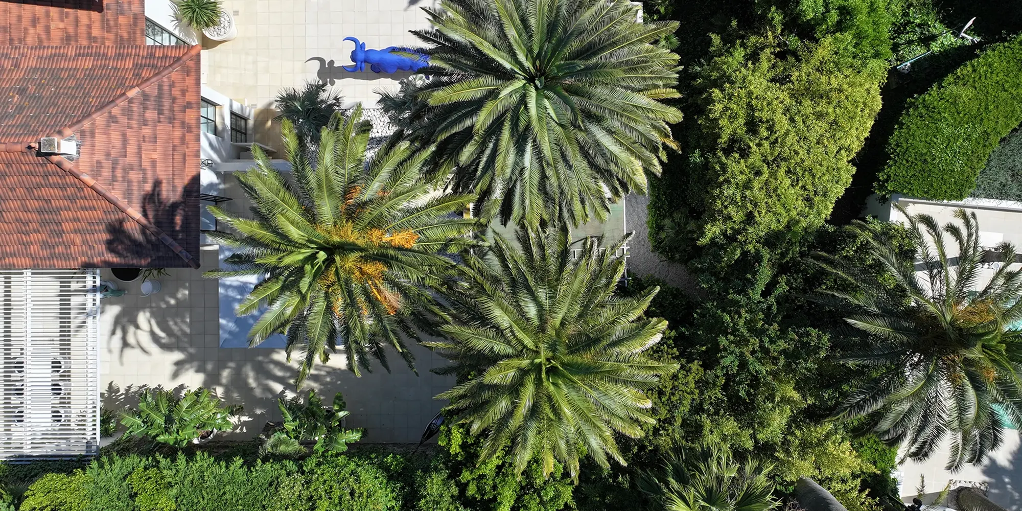 des vacances à Mandelieu-la-Napoule